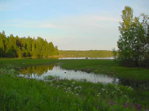 Kangasniemi, Finland - winter cottages zomerhuisjes - skandinavia - skiing, snowboarding, dogsleds, snow mobiles, trekking, fishing, swimming and sauna holidays - vacations in your own cottage in south east Finland - summer, fall, autumn, winter and spring at Penttilä Gardens