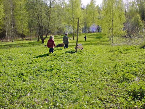 Spring cottages and sauna holidays - vacations in your own cottage in south east Finland - experience the Finnish spring at Penttilä Gardens.