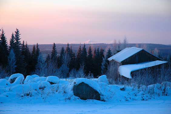 winter cottages in Kangasniemi, Finland -  zomerhuisjes - skandinavia - skiing, snowboarding, dogsleds, snow mobiles, trekking, fishing, swimming and sauna holidays - vacations in your own cottage in south east Finland - summer, fall, autumn, winter and spring at Penttilä Gardens