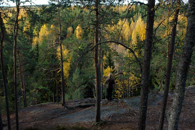 Hiking in Finland - Sinivuori, along nature trails and wilderness trails.