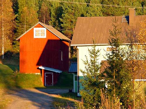 Kangasniemi, Finland - winter cottages zomerhuisjes - skandinavia - skiing, snowboarding, dogsleds, snow mobiles, trekking, fishing, swimming and sauna holidays - vacations in your own cottage in south east Finland - summer, fall, autumn, winter and spring at Penttilä Gardens