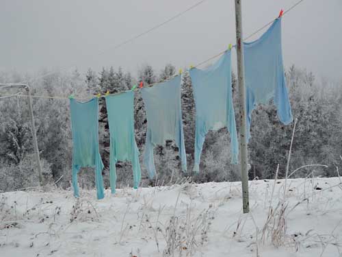 Kangasniemi, Finland - winter cottages zomerhuisjes - skandinavia - skiing, snowboarding, dogsleds, snow mobiles, trekking, fishing, swimming and sauna holidays - vacations in your own cottage in south east Finland - summer, fall, autumn, winter and spring at Penttilä Gardens