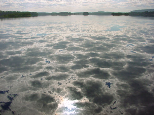 Kangasniemi, Finland - winter cottages zomerhuisjes - skandinavia - skiing, snowboarding, dogsleds, snow mobiles, trekking, fishing, swimming and sauna holidays - vacations in your own cottage in south east Finland - summer, fall, autumn, winter and spring at Penttilä Gardens