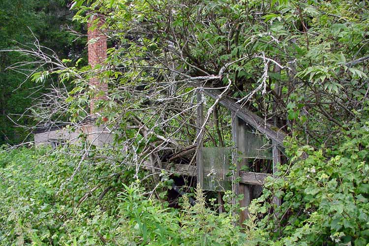 There used to be five to seven conservatories / greenhouses, which were heated.