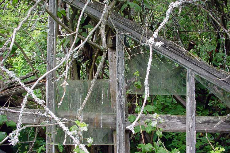 There used to be five to seven conservatories / greenhouses, which were heated; cucumbers, tomatoes and even grapes grew there.