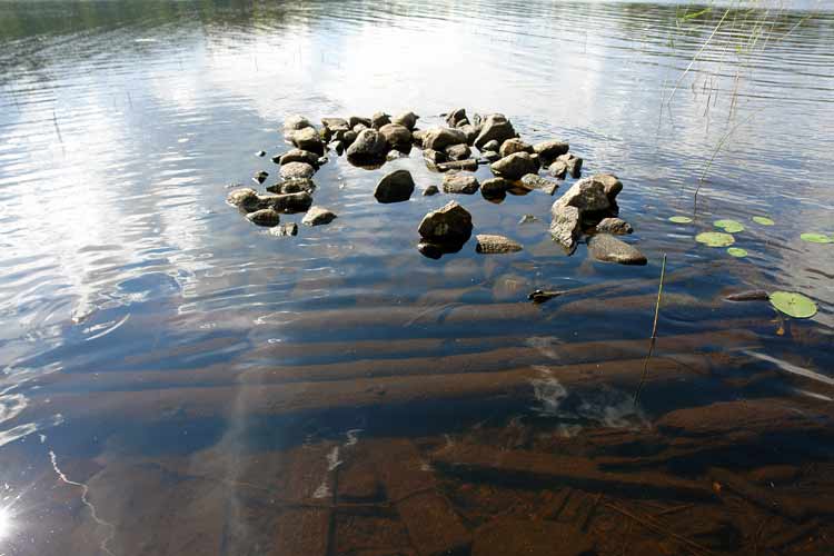 The white anemones (Anemone nemorosa) surround and envelop the granite steps.