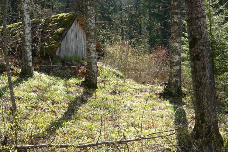 The old earth cellar was made from the wood of trees felled on Penttilä estate. It is dug down into the slope.