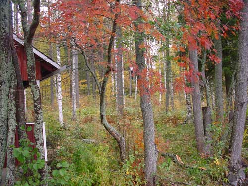 autumn cottages - the fall in your own cottage in south east Finland RUSKA at Penttilä Gardens