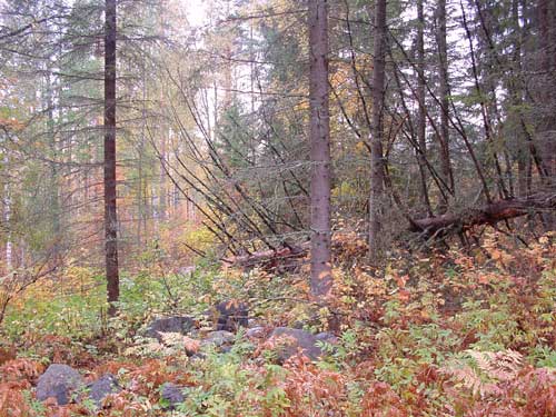 autumn cottages - the fall in your own cottage in south east Finland RUSKA at Penttilä Gardens