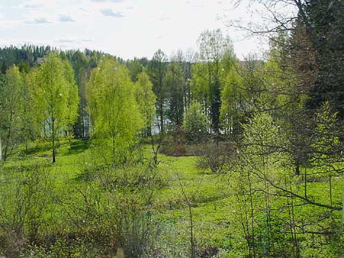 Spring cottages and sauna holidays - vacations in your own cottage in south east Finland - experience the Finnish spring at Penttilä Gardens.