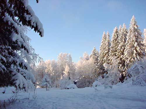 winter cottages in skandinavia - skiing, snowboarding, dogsleds, snow mobiles and sauna holidays - winter in your own cottage in south east Finland at Penttilä Gardens