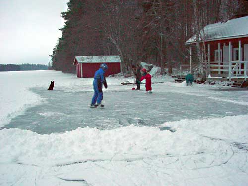 winter cottages in skandinavia - skiing, snowboarding, dogsleds, snow mobiles and sauna holidays - winter in your own cottage in south east Finland at Penttilä Gardens
