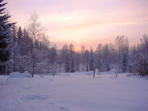 winter cottages in skandinavia - skiing, snowboarding, dogsleds, snow mobiles and sauna holidays - winter in your own cottage in south east Finland at Penttilä Gardens