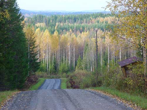 Kangasniemi, Finland - winter cottages zomerhuisjes - skandinavia - skiing, snowboarding, dogsleds, snow mobiles, trekking, fishing, swimming and sauna holidays - vacations in your own cottage in south east Finland - summer, fall, autumn, winter and spring at Penttilä Gardens