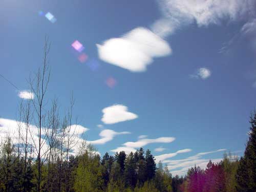 Kangasniemi, Finland - winter cottages zomerhuisjes - skandinavia - skiing, snowboarding, dogsleds, snow mobiles, trekking, fishing, swimming and sauna holidays - vacations in your own cottage in south east Finland - summer, fall, autumn, winter and spring at Penttilä Gardens