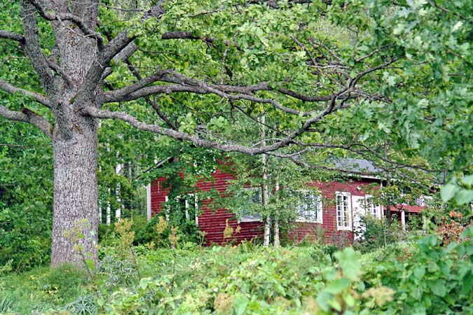 vakantiehuizen - een vakantiehuis in Finland